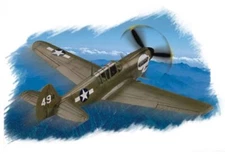 HobbyBoss 80252 Curtiss P-40N Warhawk 1/72 Scale Plastic Model Kit