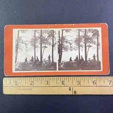 Picnic Point Grove Chesterfield New Hampshire Stereoview  JA French c1870 Y13656