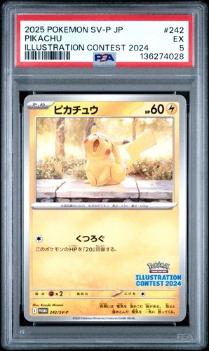 2025 POKEMON JAPANESE SV-P PROMO ILLUSTRATION CONTEST 2024 #242 PIKACHU PSA 5