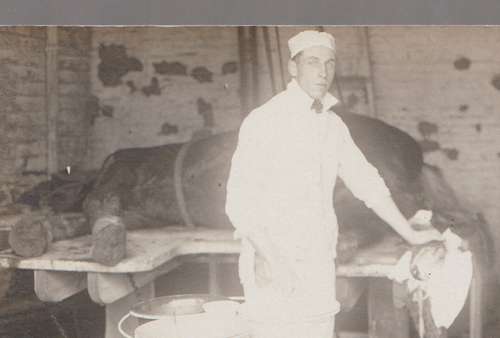 Shelby NEBRASKA RPPC c1910 VETERINARIAN Surgery OPERATING ON HORSE W.E. Norden - Picture 2 of 4