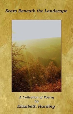 Scars Beneath the Landscape by Elizabeth Harding (English) Paperback Book