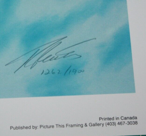 4 Print The Collectors' Edition by Robert Bailey Numbered & Signed 4 Aircraft - Picture 6 of 12
