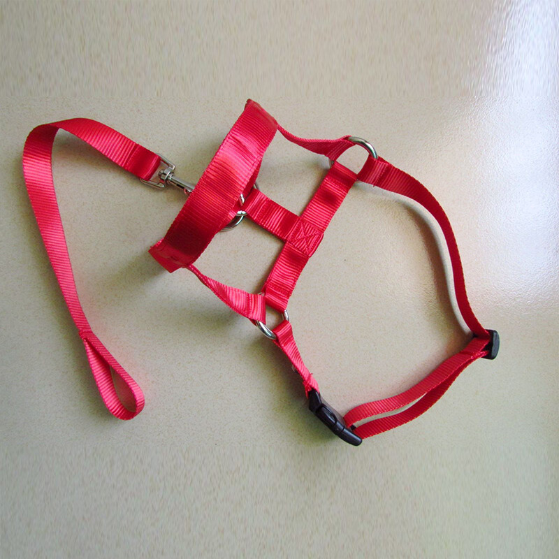 Dog Training Head Collar Halter Stop Pulling Training Tool Harness