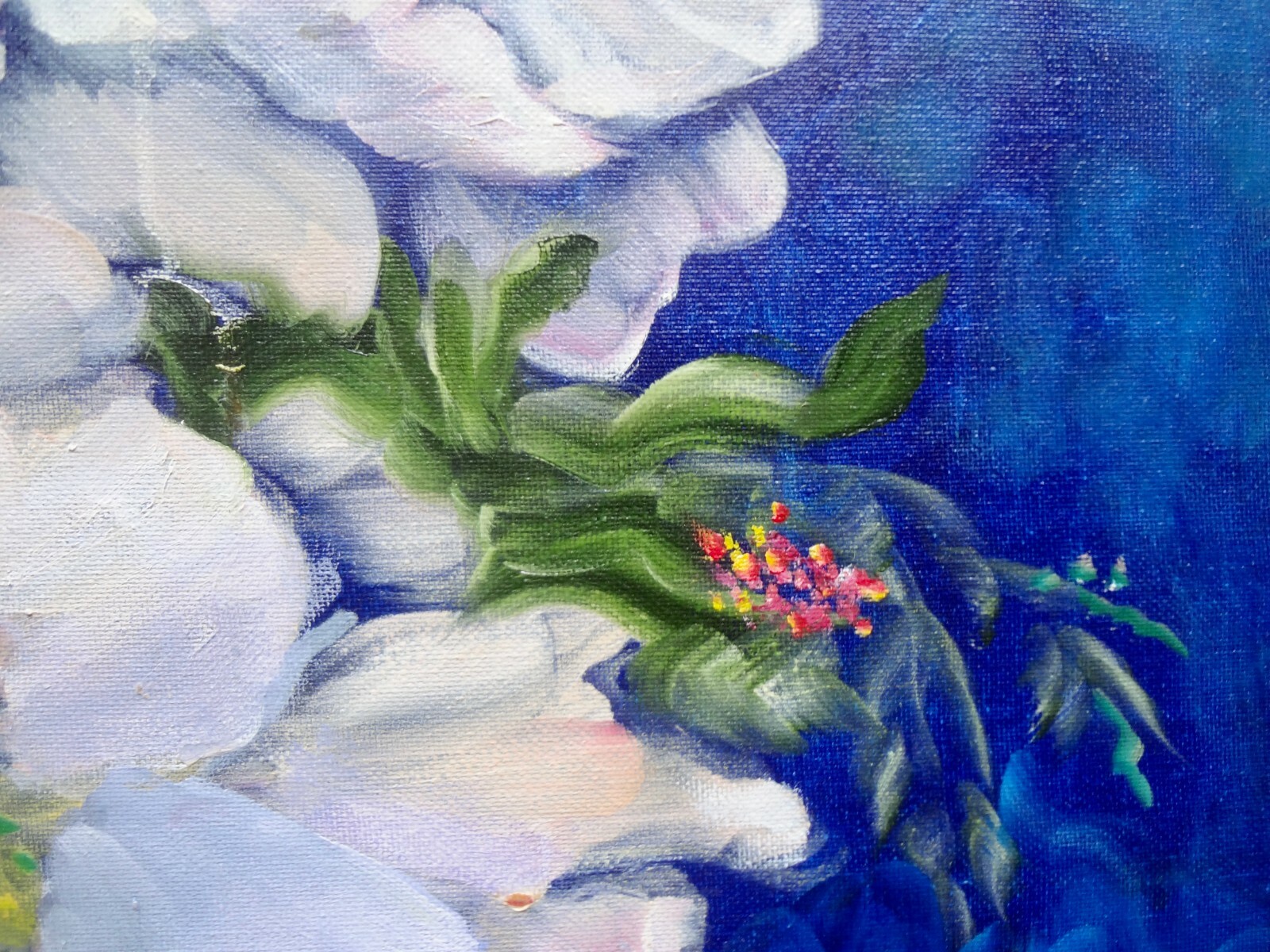 Picture 7 of 12