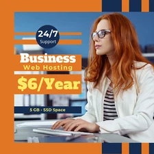 Business web hosting 1 year