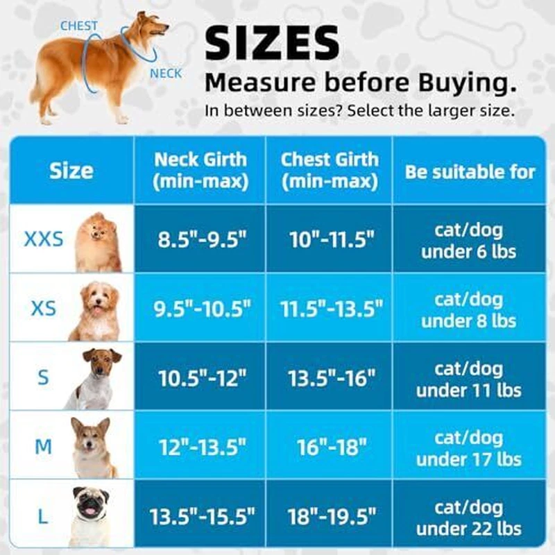 Dog Harness with Leash Set, X-S(9.5-10.5"N
