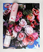 Pink Picasso Botanical Floral Paint by Number Kit for Adults  Teens  DIY Ca...