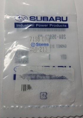 Guarnizione Testata ROBIN Decespugliatore EC 10 004923 - Foto 10