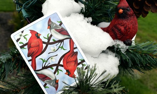 Cardinals Euchre Tarjetas de Poker Tamaño Mazo LPCC Personalizado Edición Limitada Nuevo - Imagen 7 de 12