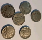 LOT OF SIX BUFFALO NICKELS W/ WORN TO FULL DATES SEE PHOTOS