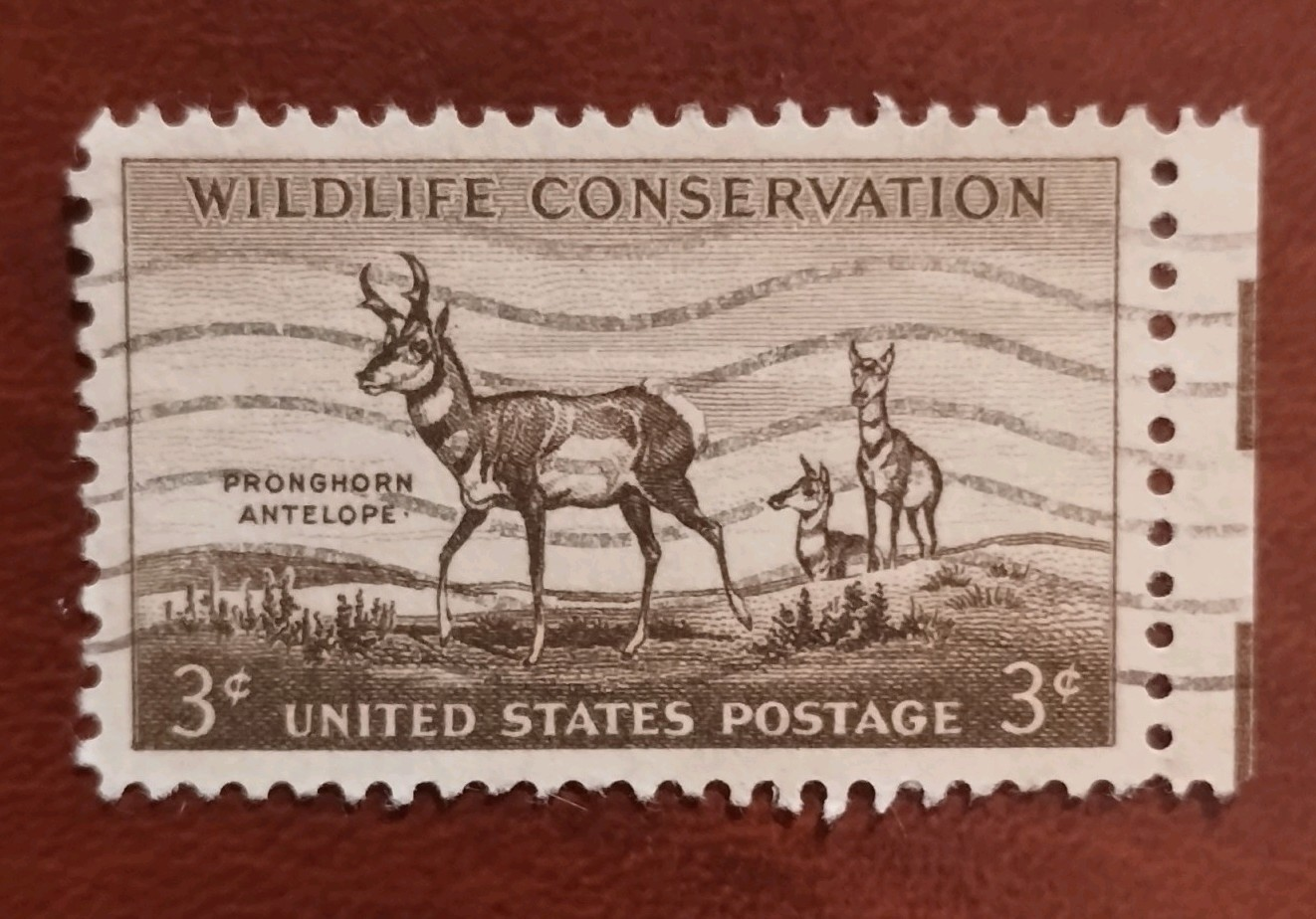 U.S. Postage Stamp Wildlife Conservation Pronghorn Antelope 3 Cent Brown MNH