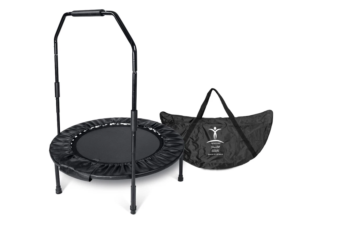 Ebay rebounder online trampoline