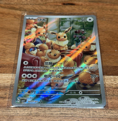 Eevee 0407/07 perfect condition