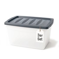 Aufbewahrungsbox Mit Deckel 3X 60 L Groß Budget Line Plastikbox Mit Deckel
