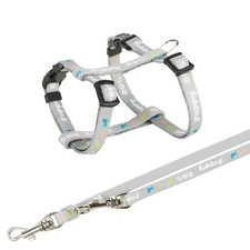 Harnais Junior 23-34 cm/8 mm gris avec laisse pour chiot