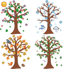 168 Pcs Tree Classroom Bulletin Board Decor, Four Seasons