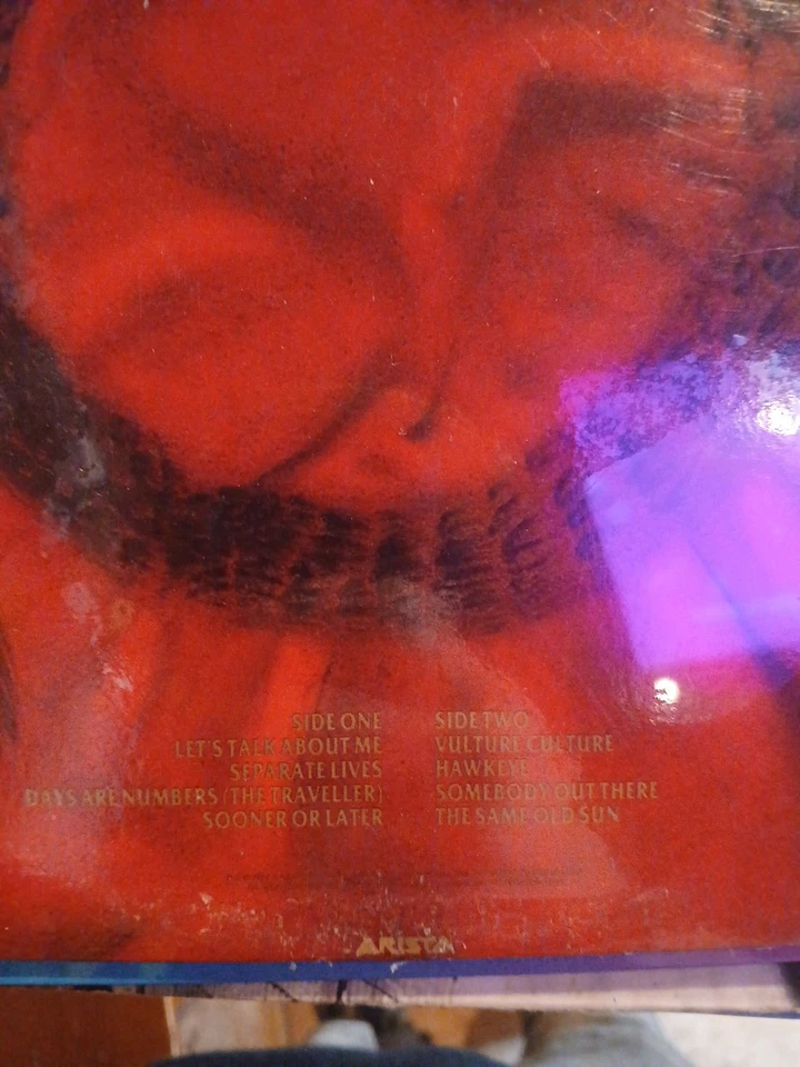 The Alan Parsons Project Vulture Culture Vinyl Lp 1985 ORIG IMMACULATE EX/VG - Image 2 of 2