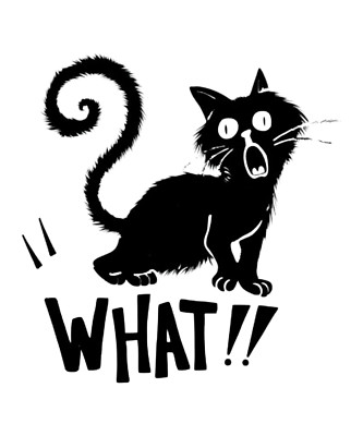 Cat Sticker 3'' What Surprised Frightened Kitty Black Kitten Halloween Spooky