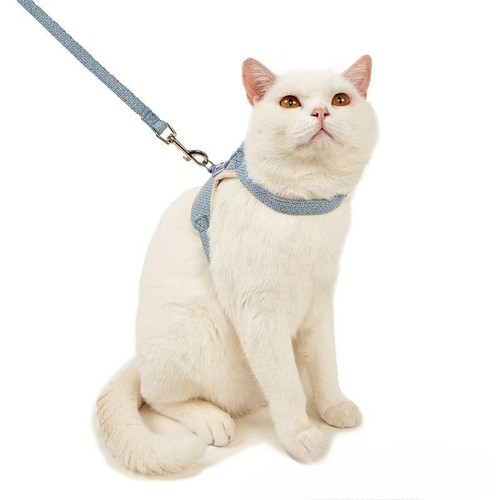 Newest Cute Rabbit Harness Leash Set Bunny Vest for Outdoor Walking Pets - Picture 7 of 26