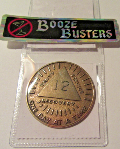 Alcoholics Anonymous AA 12 year Sunshine Bronze Medallion Token chip ...