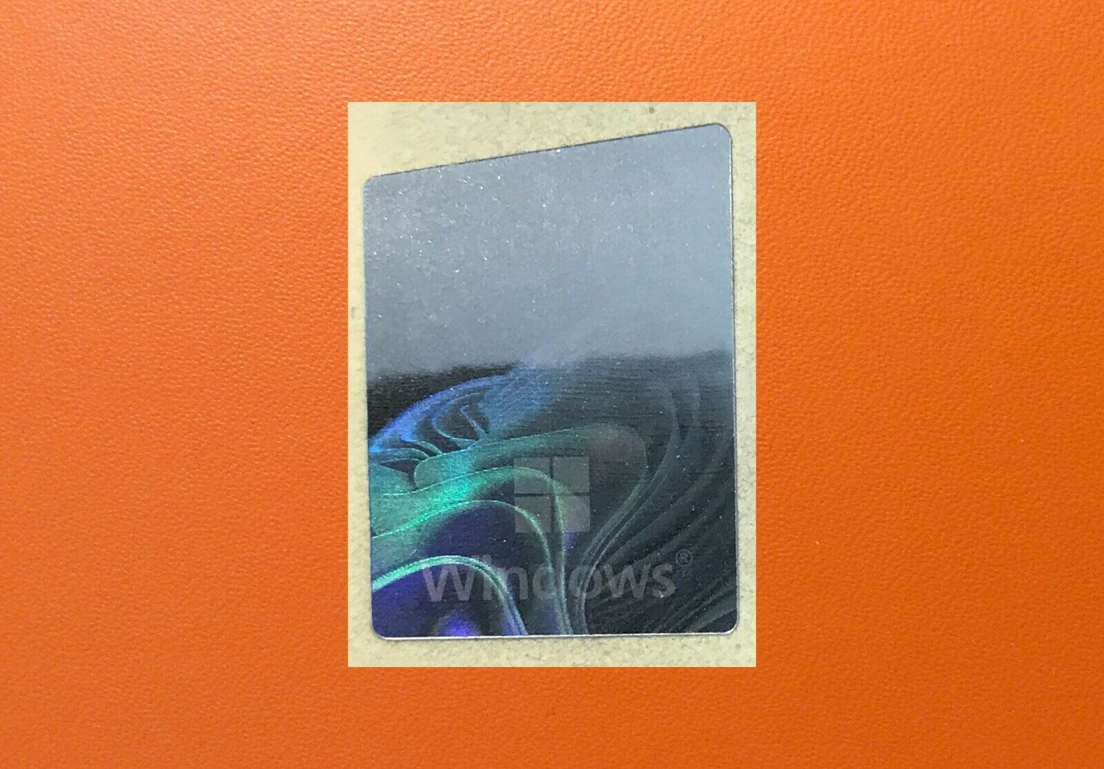 Picture 4 of 6