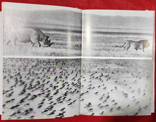 Serengeti Shall Not Die-Bernhard & Michael Grzimek HC 1960 2nd ed Game Poachers - Picture 16 of 18