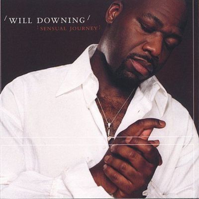 Sensual Journey by Will Downing CD May-2002 GRP USA