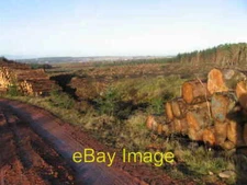 Photo 6x4 Felled forest looking towards Shotts Springhill/NS8858  c2006