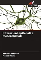 Interazioni Epiteliali E Mesenchimali Betina Chandolia