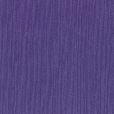Bazzill Fourz Cardstock 12"X12"-Purple Pizzazz/Grasscloth - 25 Pack