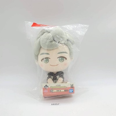 RM U357 TinyTan BTS BIGHITMUSIC Bandai Ichiban Kuji Plüschtier 7 Zoll TAG...