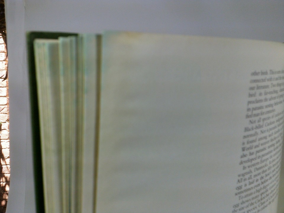 British and European Birds Illustrated by Arthur Singer Aus Seller