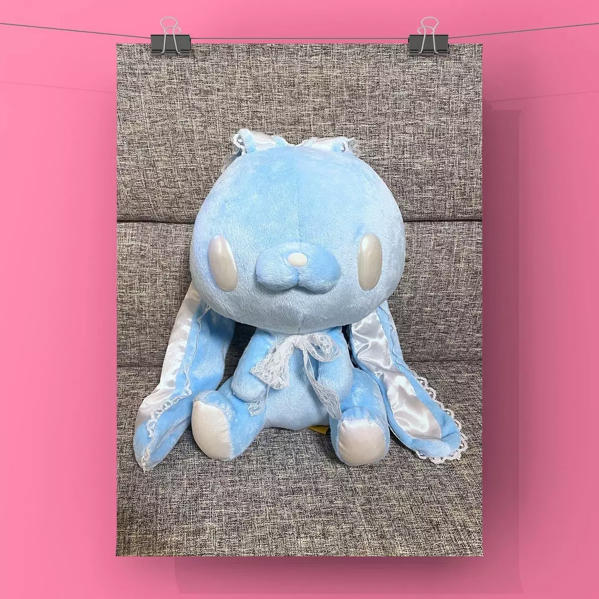 Chax top gp rabbit
