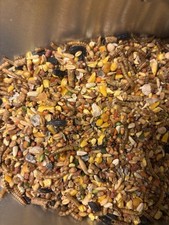 Ultimate Chicken Treat Feed With Dried Mealworms 5 Lbs Poultry Food for Chickens