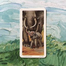RED ROSE TEA CARD AFRICAN ELEPHANT ART ANIMALS AND THEIR YOUNG 1990 No 35 #S