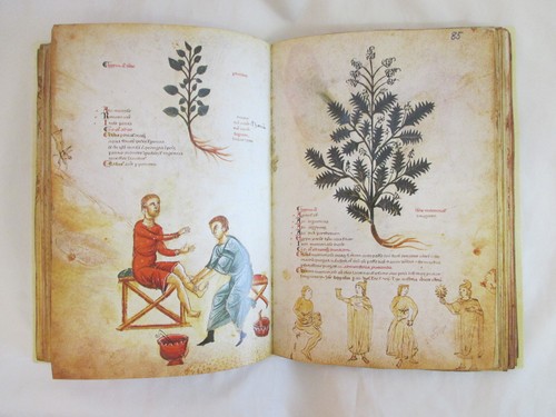 Die Medicina Antiqua - Bild 3 von 4