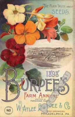 Vintage Burpee s and Company Samenkatalog 1898 Druck Poster Wandbild A4+