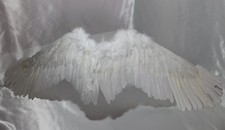 Angel Wings Costume Accessory White Unisex Total Length 120Cm 