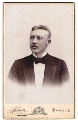 Photography A. Schutte, Prague, portrait blonde gentleman with bow tie in jacket  - Picture 1 of 2