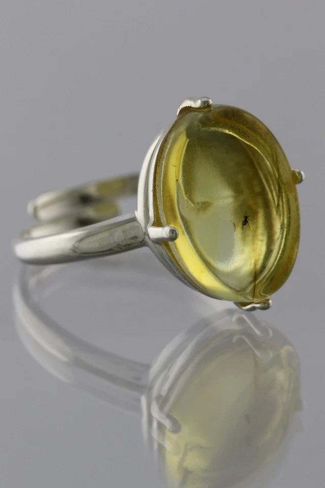 Anillo Ajustable Plata Ámbar Báltico Genuino Inclusión Insecto Fósil 191030-9 Foto 2 de 4
