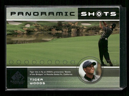 2003 Tiger Woods #46