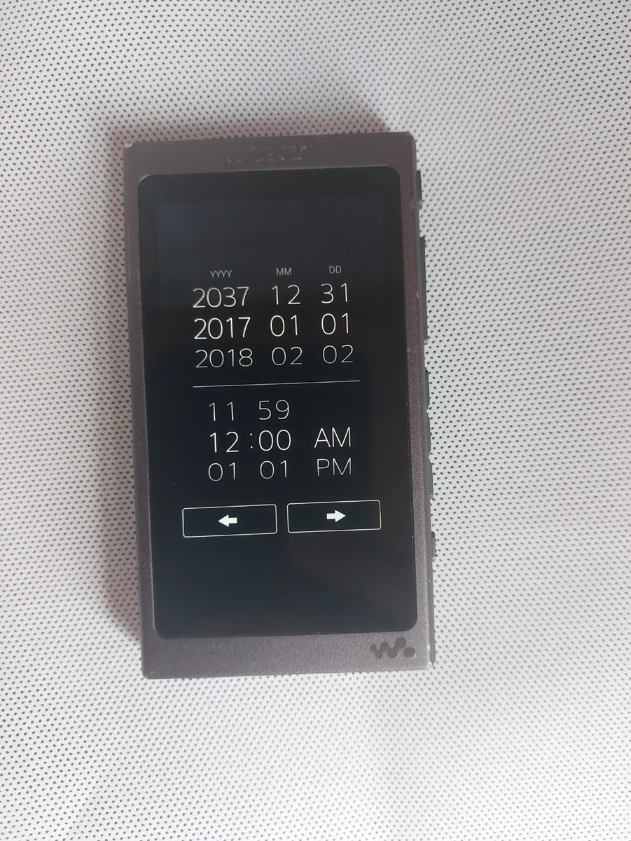 Sony NW-A45 Grayish Black (16GB) Digital Media Player for