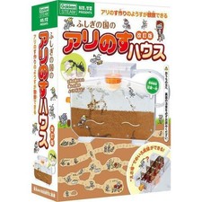 Science and Learning Ant House in Wonderland Revised Edition Ant Habitat Kit Use