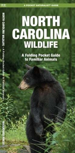 North Carolina Wildlife Folding Pocket Guide to Familiar Animals by Kavanagh
