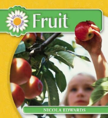 Read Write Inc. Comprehension: Module 5: Children's Book: Fr (Se