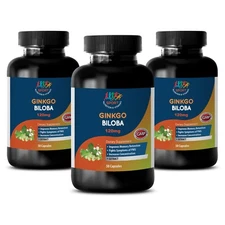 New Ginkgo Biloba Extract 120mg (3 Bottles)