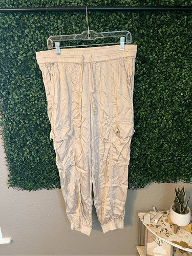 Aerie Champagne Satin Joggers Sz Large