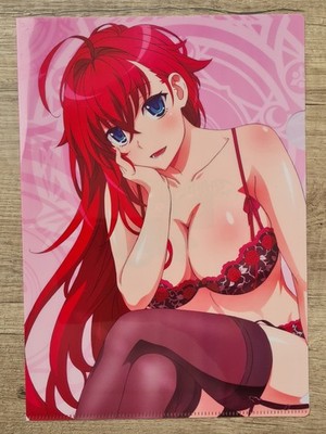 Rias Gremory Clear File A4 High School DxD HERO 3× pieces
