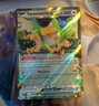 Pokémon TCG Squawkabilly ex 169/193 Sv02 Paldea Evolved Double Rare Holo 160 HP…