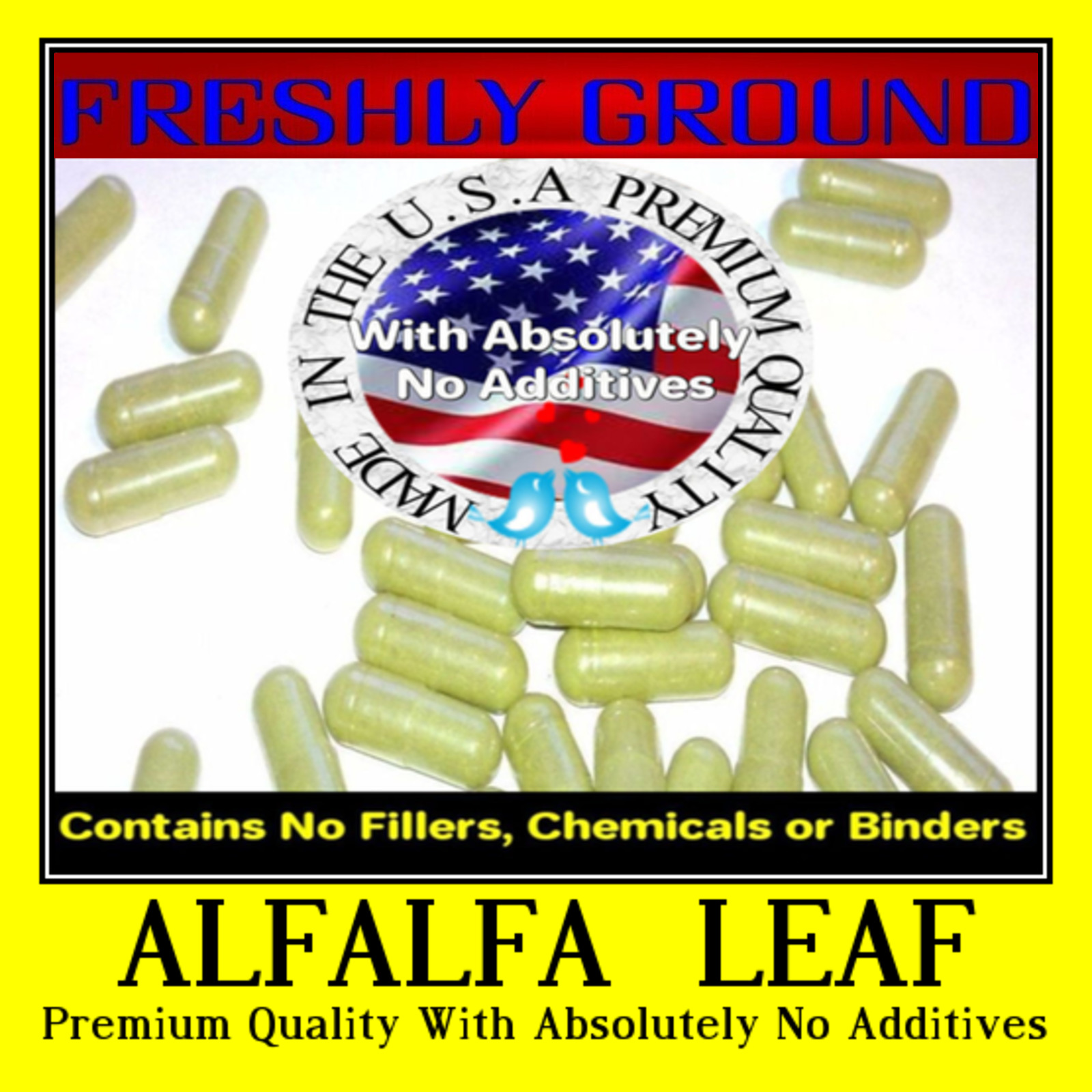 ALFALFA LEAVES Chlorophyll  With Absolutely No Additives 100 Vegetarian Capsules